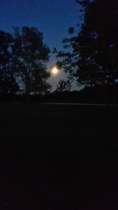 2015-08-29 20.44.24