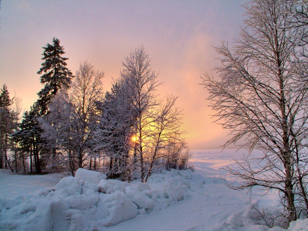 north-697280_1280