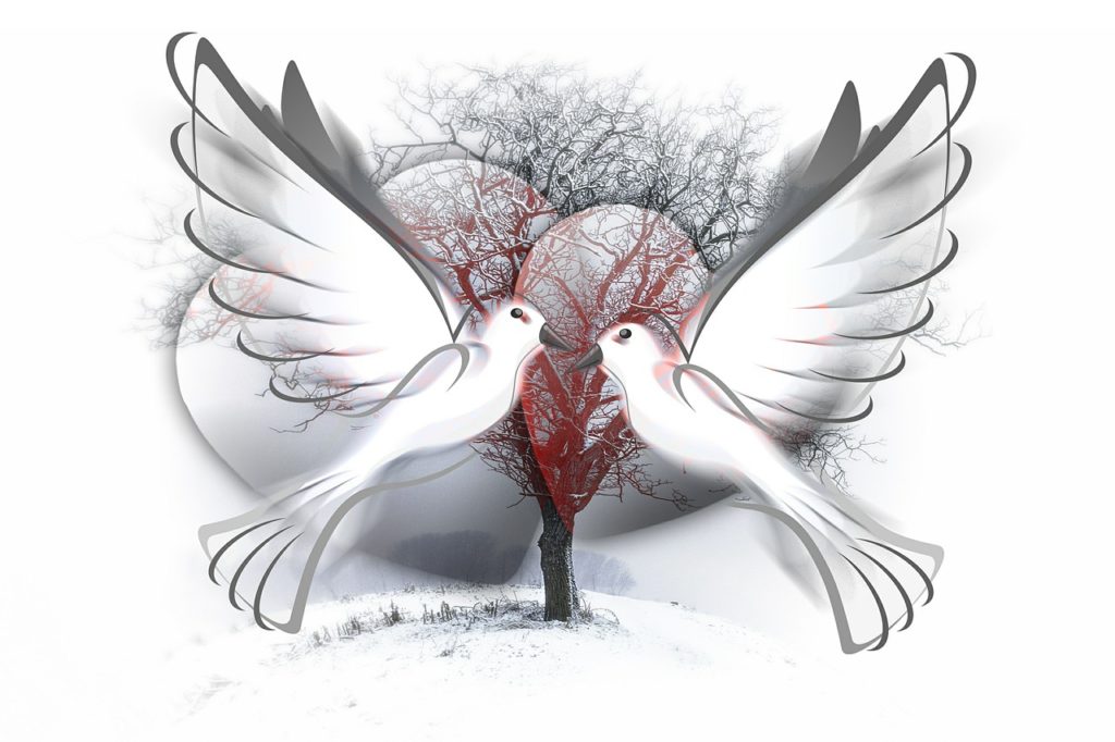 peace-dove-588991_1280